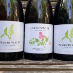 Pyramid Valley – 2020 Red Wine Releases