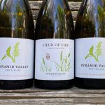 Pyramid Valley – 2020 White Wine Releases