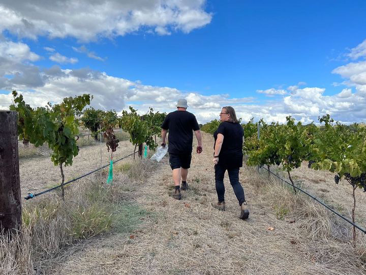 The Barossa's Yelland and Papps